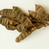 False Acacia